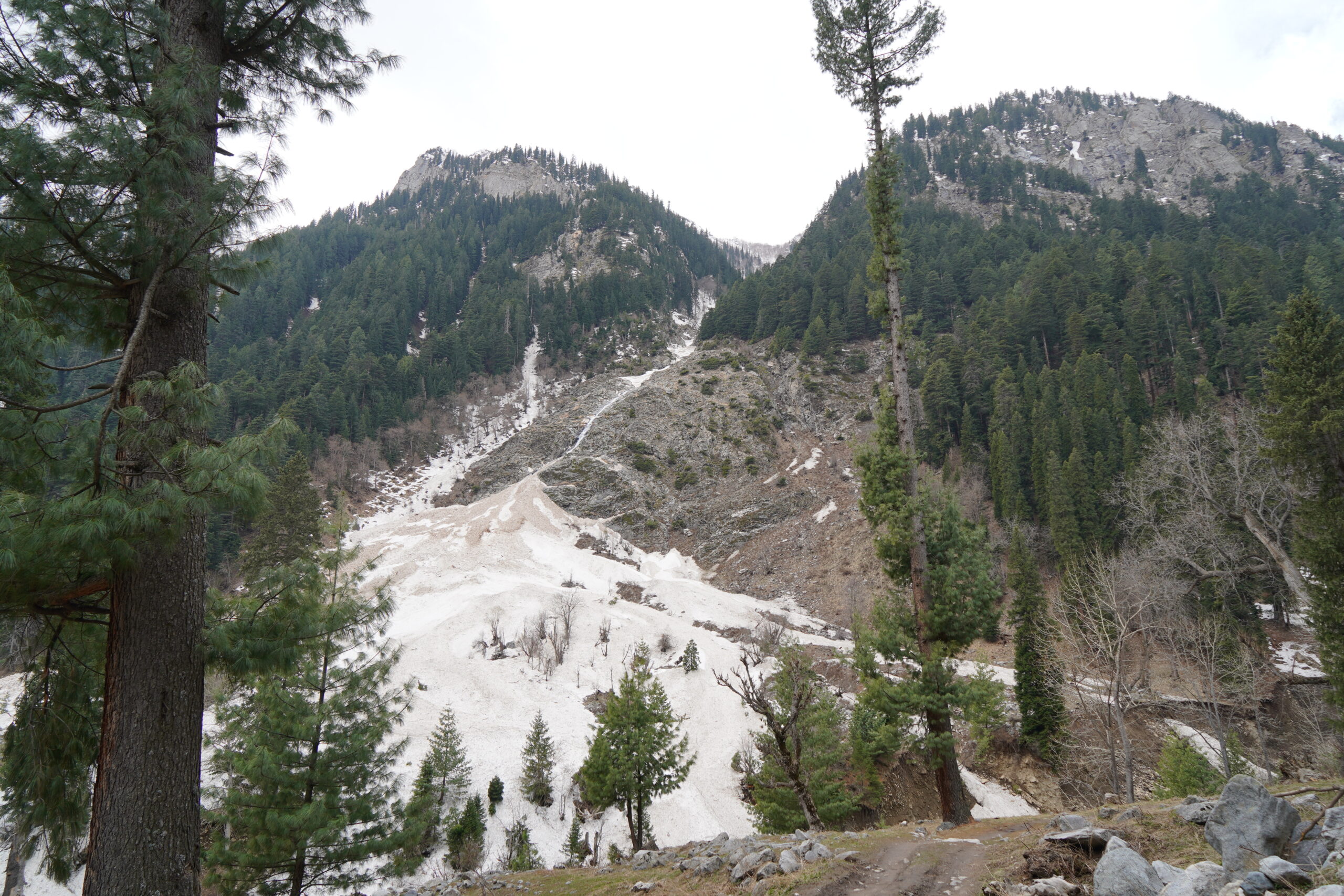 scenic field, reminiscent of natural beauty found in Kumrat Valley Glamping Photos.