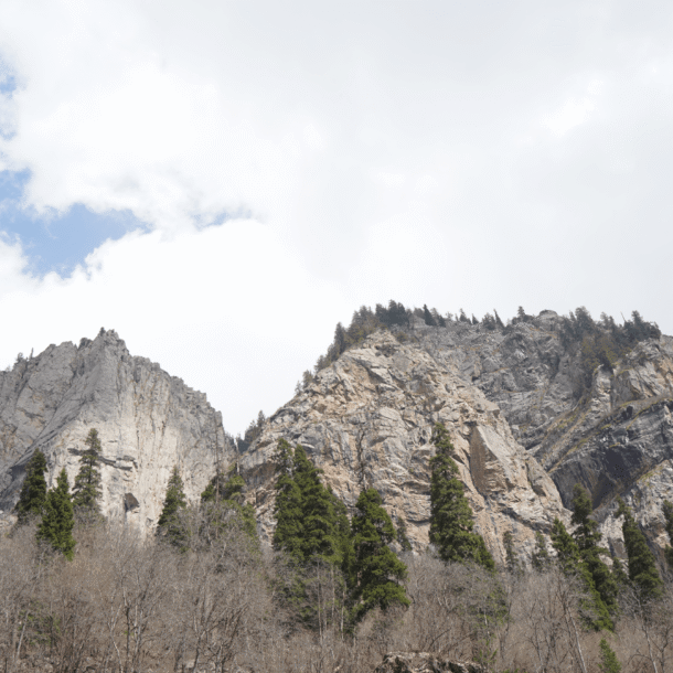 Rocky mountains and trees in Kumrat Valley.