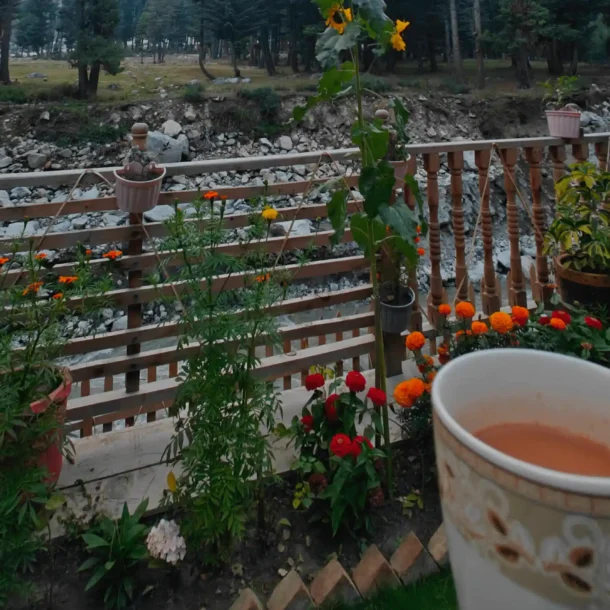 A cup of tea in a garden overlooking a river in Kumrat Valley.