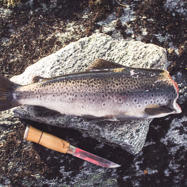 Best food in Kumrat Valley