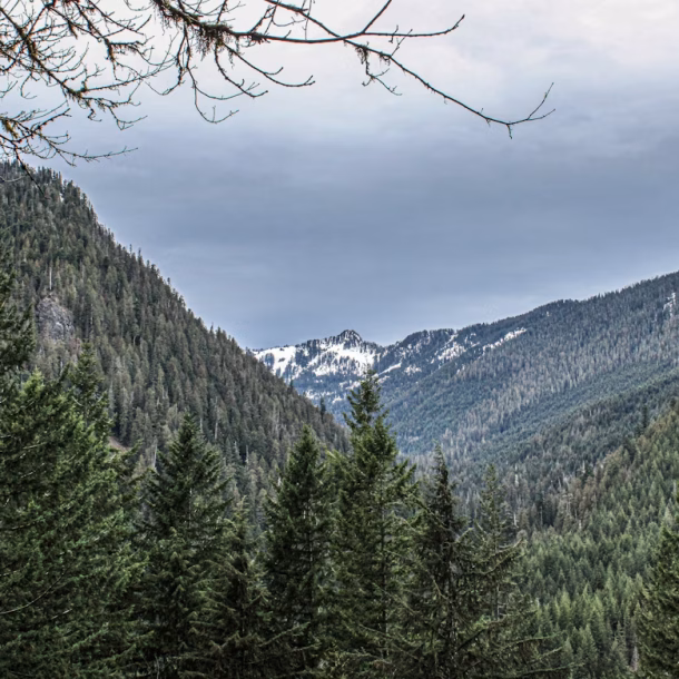 Experience the magic of Kumrat Valley in August. Discover lush green Kumrat landscapes and misty mountain views with rainy season glamping.