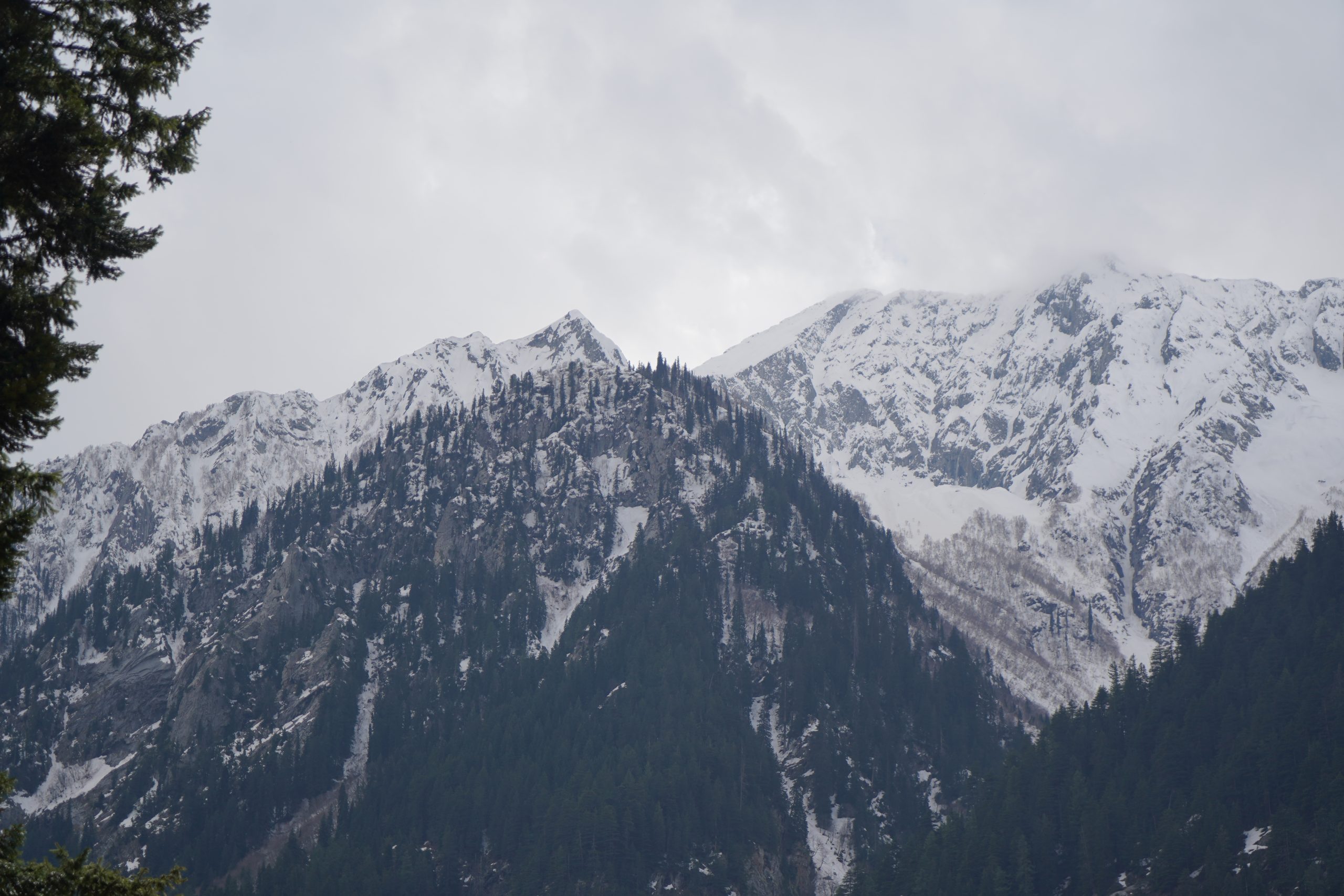 Save big with early booking summer offers for 2026. Compare spring vs summer Kumrat and secure discounted glamping at Heaven on Earth before the peak season.