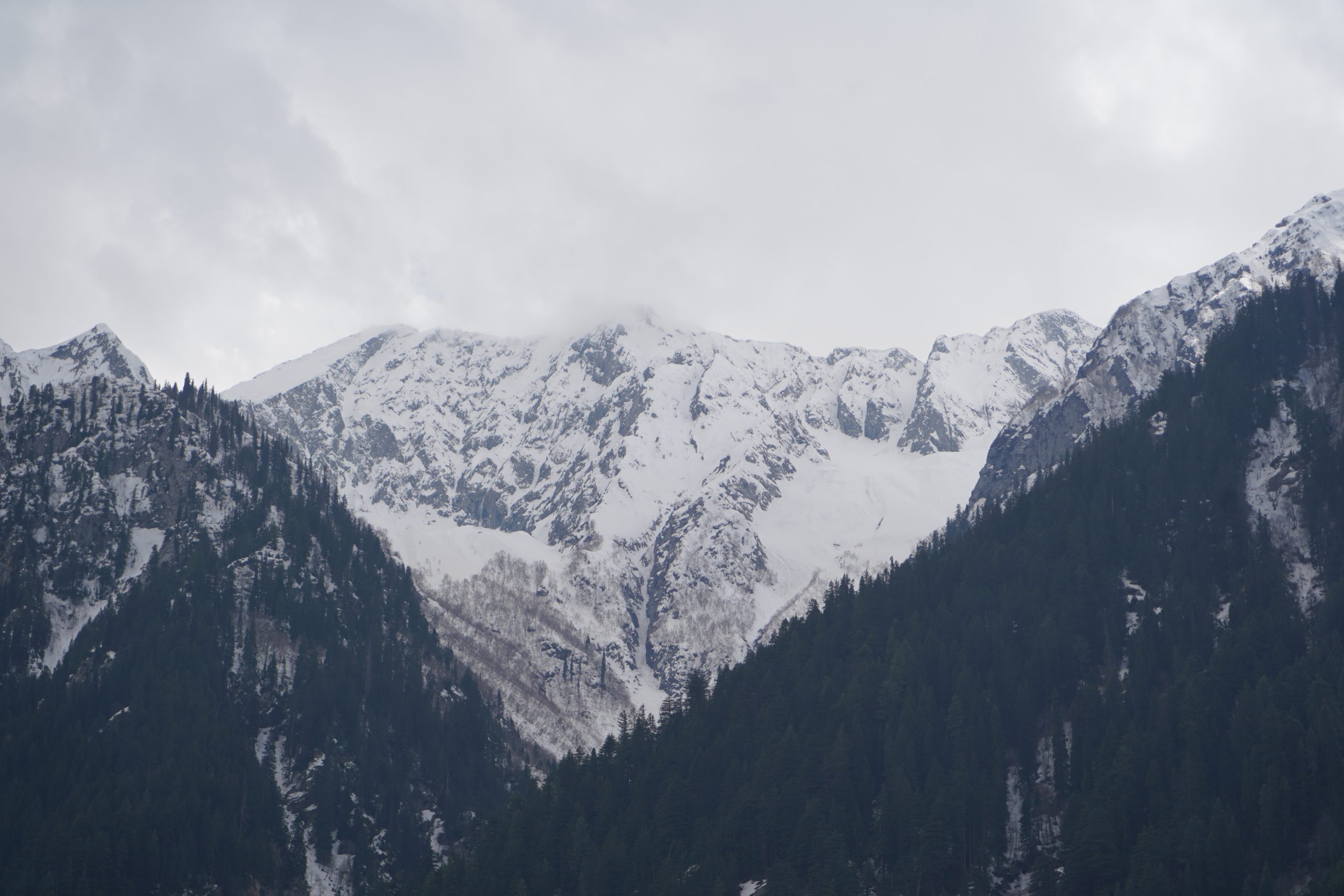 Discover the mental and physical benefits of glamping at Heaven on Earth. Experience forest bathing in Pakistan and a mountain wellness retreat this April.