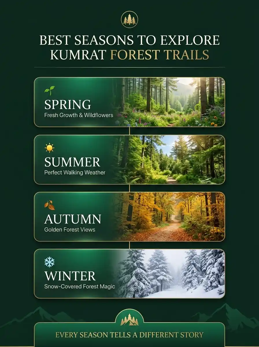 Kumrat forest trails